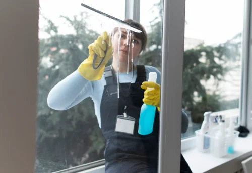 Nettoyage de vitres intérieures et extérieures à Gerbamont